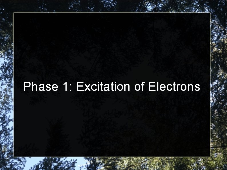 Phase 1: Excitation of Electrons 