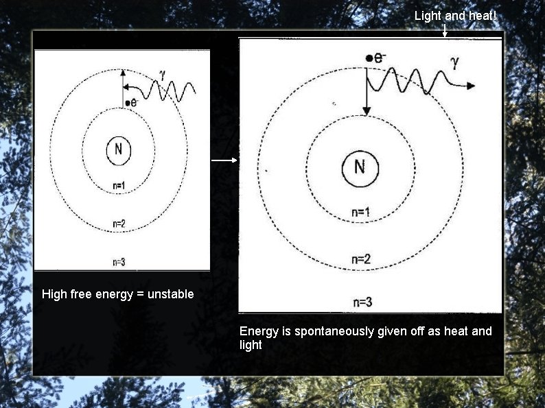 Light and heat! High free energy = unstable Energy is spontaneously given off as