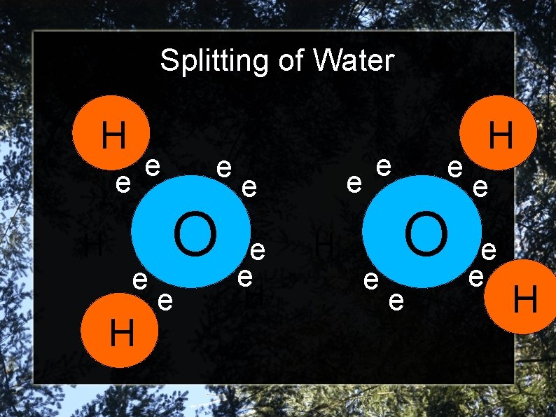 Splitting of Water H e e H e O e e e H H