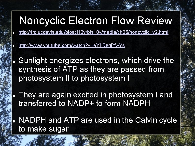 Noncyclic Electron Flow Review http: //trc. ucdavis. edu/biosci 10 v/bis 10 v/media/ch 05/noncyclic_v 2.