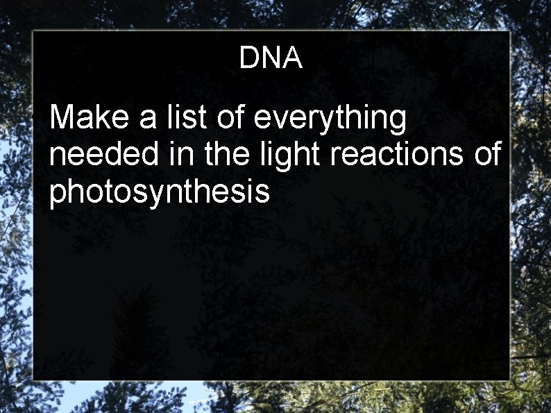DNA • Make a list of everything needed in the light reactions of photosynthesis
