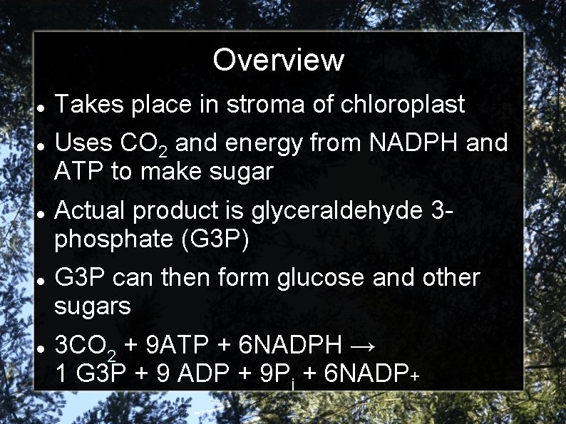 Overview Takes place in stroma of chloroplast Uses CO 2 and energy from NADPH