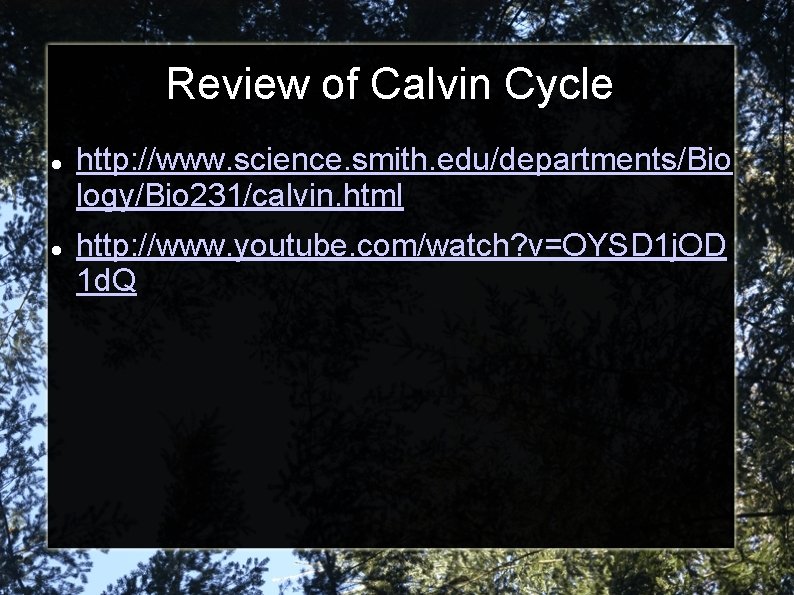 Review of Calvin Cycle http: //www. science. smith. edu/departments/Bio logy/Bio 231/calvin. html http: //www.