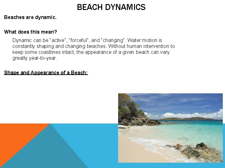 BEACH DYNAMICS Beaches are dynamic. What does this mean? Dynamic can be “active”, “forceful”,