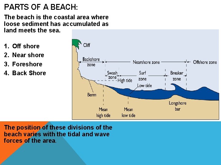 PARTS OF A BEACH: The beach is the coastal area where loose sediment has