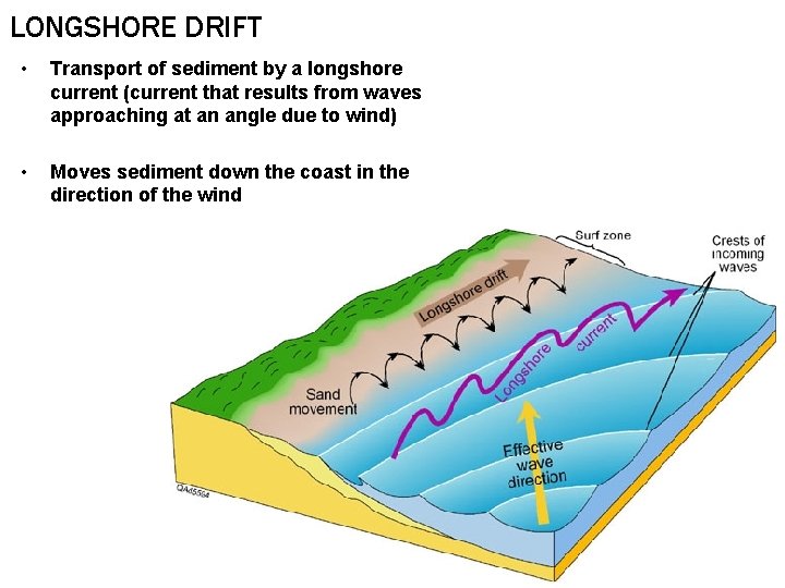 LONGSHORE DRIFT • Transport of sediment by a longshore current (current that results from