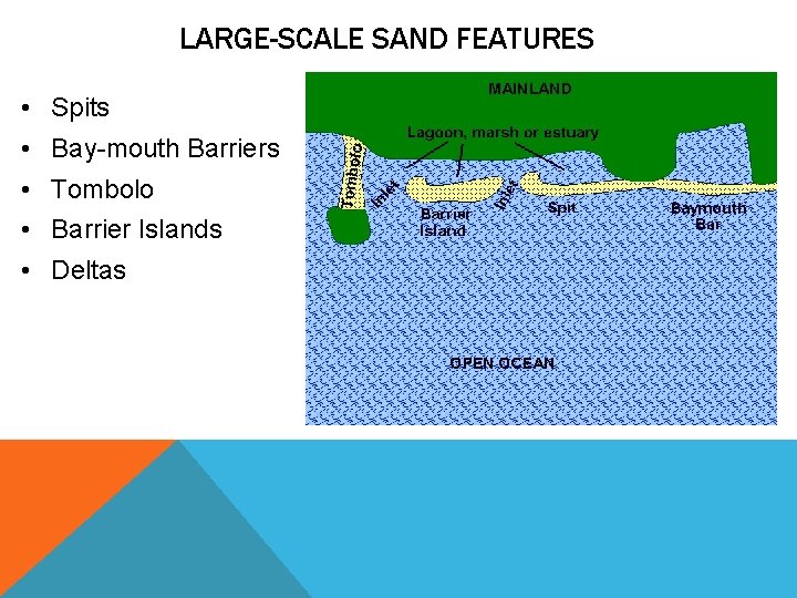 LARGE-SCALE SAND FEATURES • Spits • Bay-mouth Barriers • Tombolo • Barrier Islands •