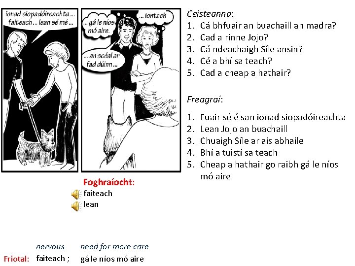 Ceisteanna: 1. Cá bhfuair an buachaill an madra? 2. Cad a rinne Jojo? 3.