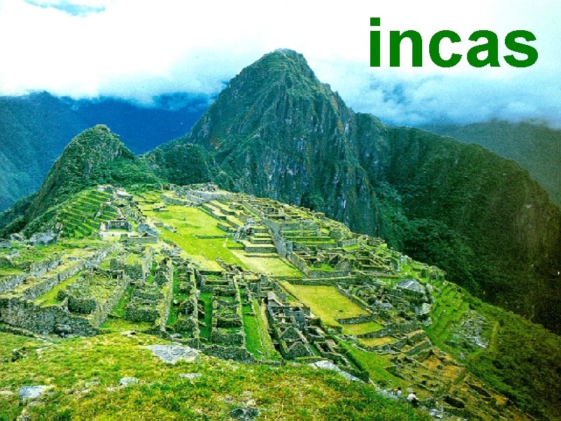 incas 