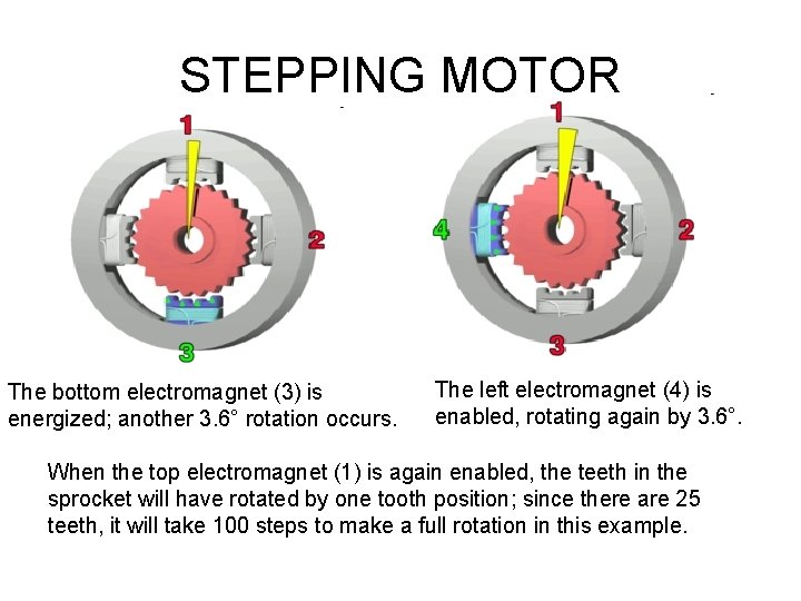 STEPPING MOTOR The bottom electromagnet (3) is energized; another 3. 6° rotation occurs. The
