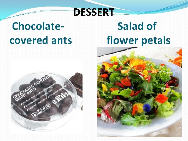Chocolatecovered ants DESSERT Salad of flower petals 