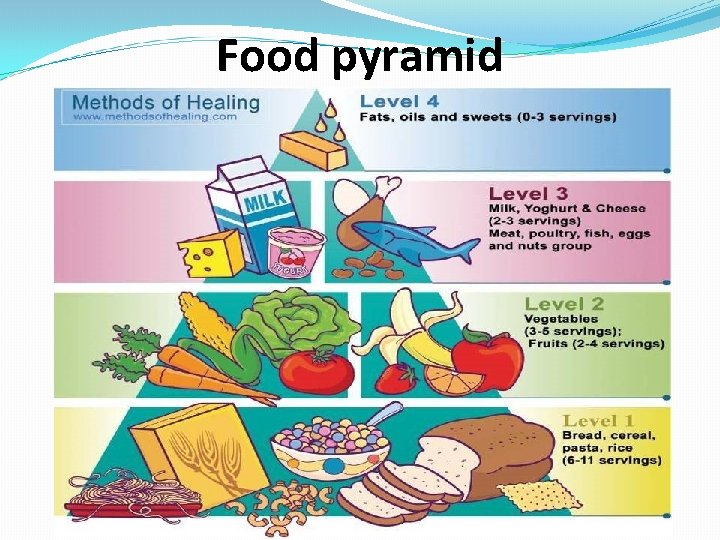 Food pyramid 