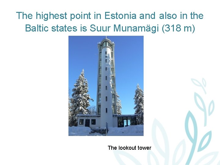 The highest point in Estonia and also in the Baltic states is Suur Munamägi