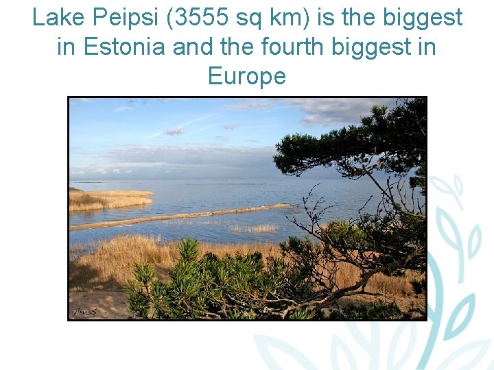 Lake Peipsi (3555 sq km) is the biggest in Estonia and the fourth biggest