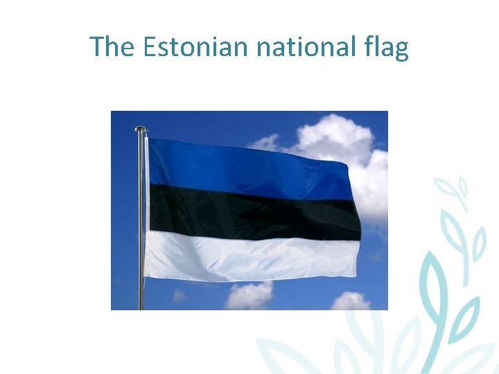 The Estonian national flag 