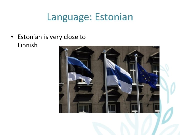 Language: Estonian • Estonian is very close to Finnish 