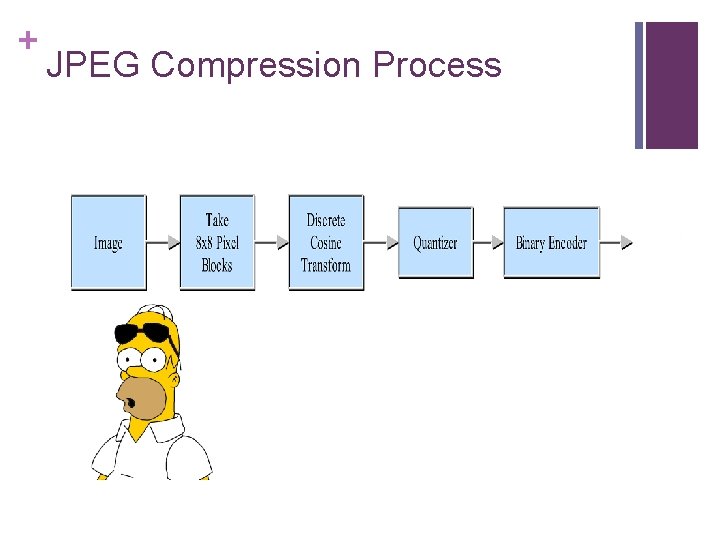 + JPEG Compression Process 