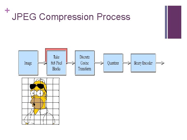 + JPEG Compression Process 