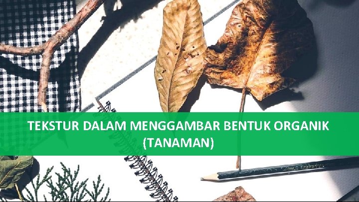 TEKSTUR DALAM MENGGAMBAR BENTUK ORGANIK (TANAMAN) 