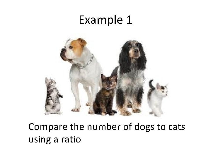 Example 1 Compare the number of dogs to cats using a ratio 