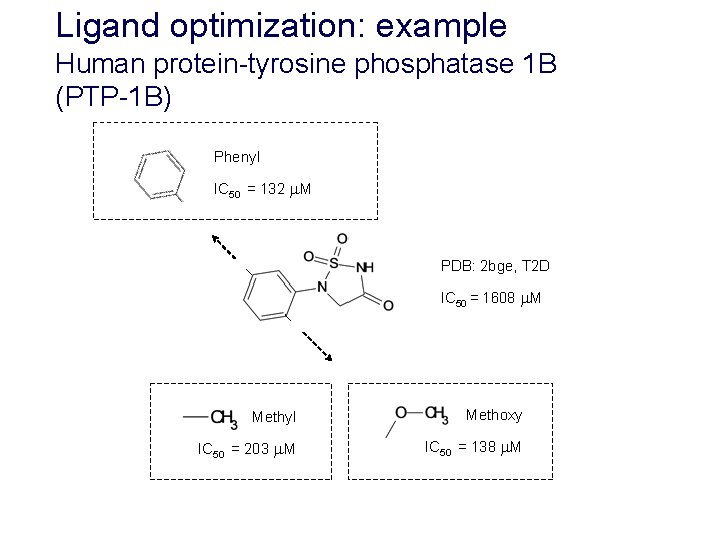 Ligand optimization: example Human protein-tyrosine phosphatase 1 B (PTP-1 B) Phenyl IC 50 =