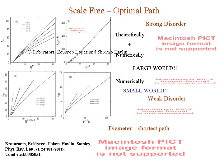 Scale Free – Optimal Path Strong Disorder Theoretically + • Collaborators: Eduardo Lopez and