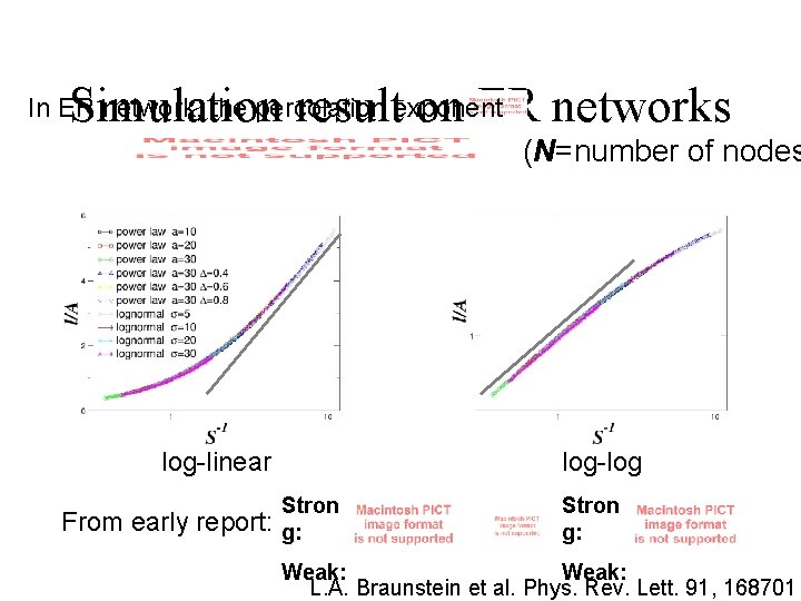 Simulation result on ER networks In ER network, the percolation exponent (N=number of nodes