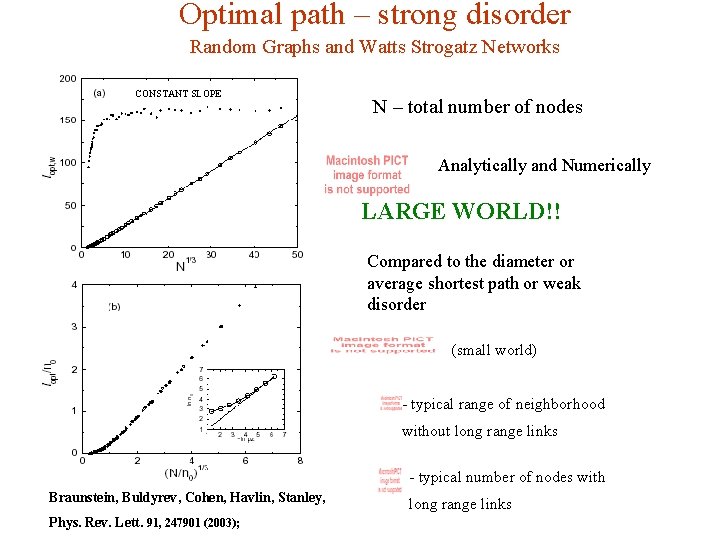 Optimal path – strong disorder Random Graphs and Watts Strogatz Networks CONSTANT SLOPE N
