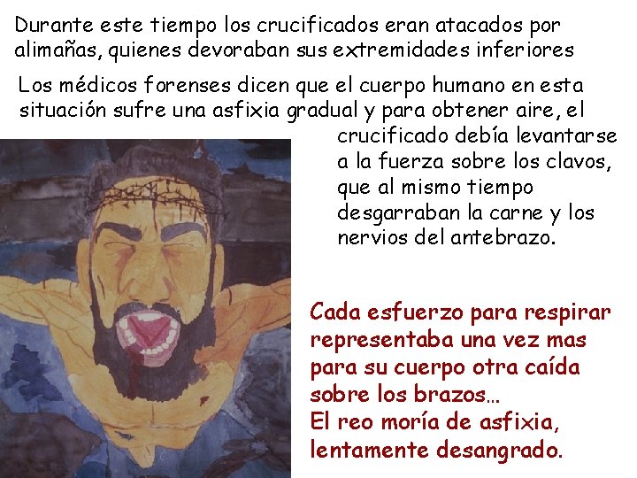 Durante este tiempo los crucificados eran atacados por alimañas, quienes devoraban sus extremidades inferiores