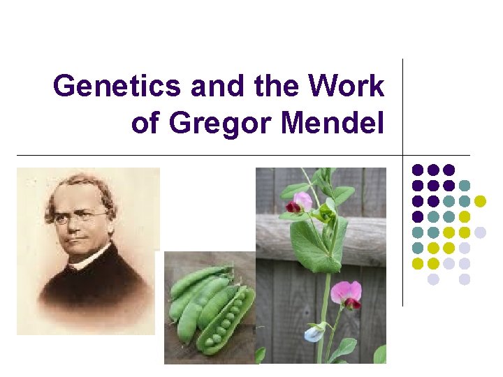 Genetics and the Work of Gregor Mendel Genetics and the Work of Gregor Mendel