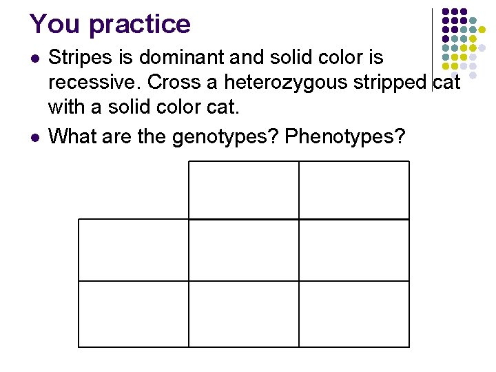 You practice l l Stripes is dominant and solid color is recessive. Cross a