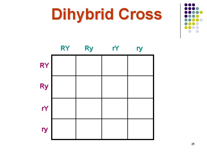 Dihybrid Cross RY Ry r. Y ry 25 