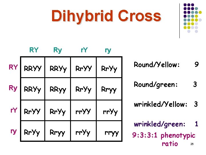 Dihybrid Cross RY RY RRYY Ry RRYy r. Y Rr. YY ry Rr. Yy