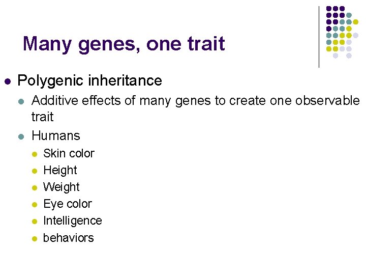 Many genes, one trait l Polygenic inheritance l l Additive effects of many genes