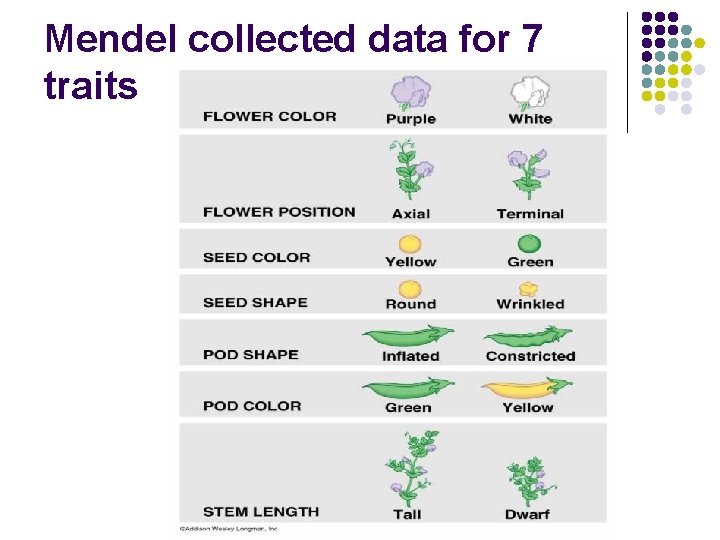 Mendel collected data for 7 traits 