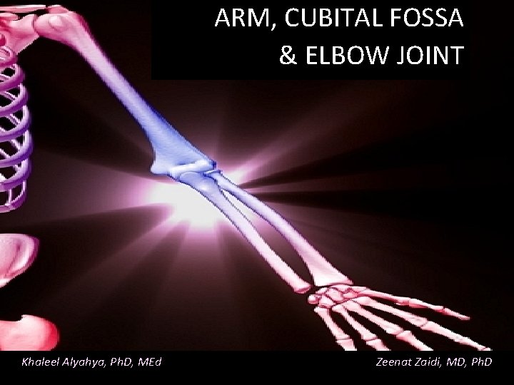 ARM, CUBITAL FOSSA & ELBOW JOINT Khaleel Alyahya, Ph. D, MEd Zeenat Zaidi, MD,