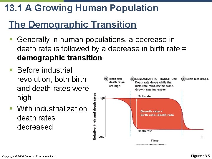 13. 1 A Growing Human Population The Demographic Transition § Generally in human populations,