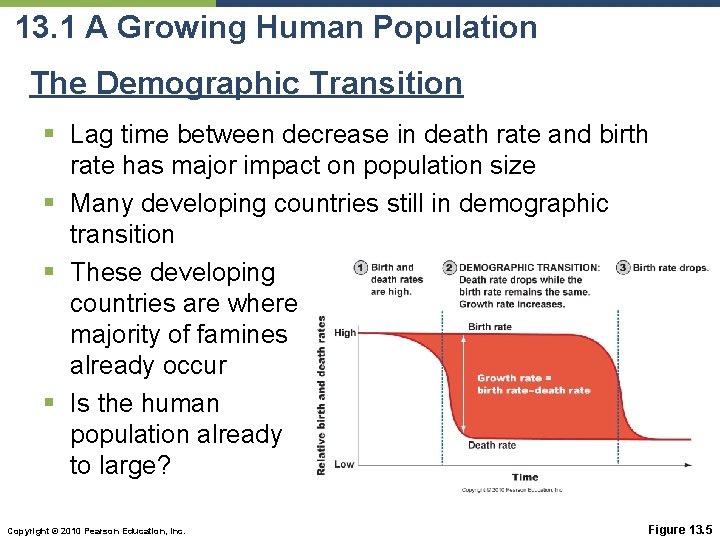 13. 1 A Growing Human Population The Demographic Transition § Lag time between decrease