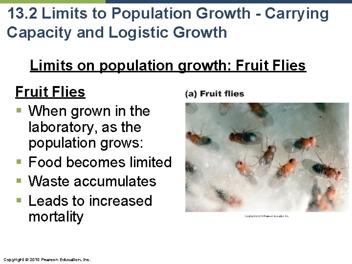 13. 2 Limits to Population Growth - Carrying Capacity and Logistic Growth Limits on