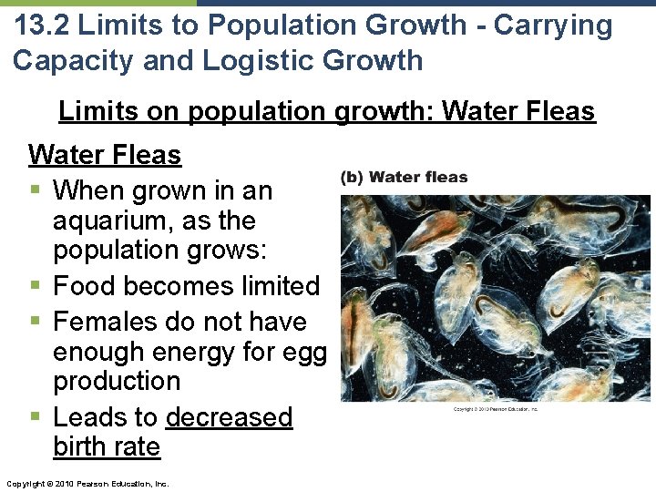 13. 2 Limits to Population Growth - Carrying Capacity and Logistic Growth Limits on