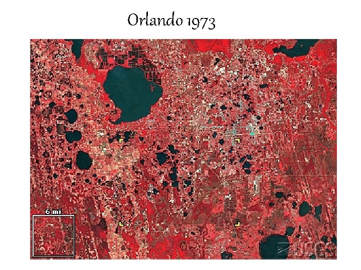 Orlando 1973 