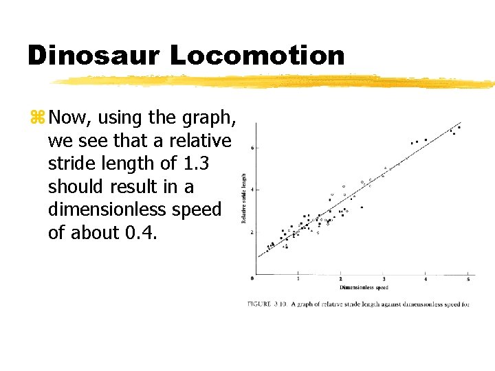 Dinosaur Locomotion z Now, using the graph, we see that a relative stride length