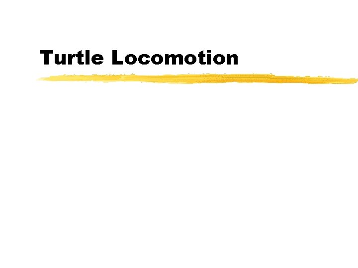 Turtle Locomotion 