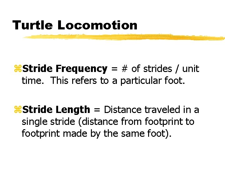 Turtle Locomotion z. Stride Frequency = # of strides / unit time. This refers