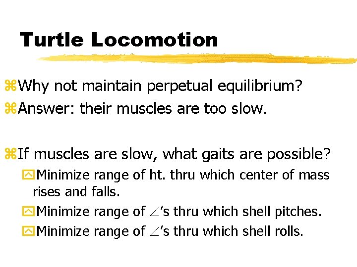 Turtle Locomotion z. Why not maintain perpetual equilibrium? z. Answer: their muscles are too