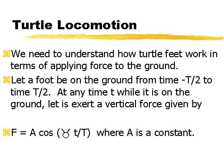 Turtle Locomotion z. We need to understand how turtle feet work in terms of