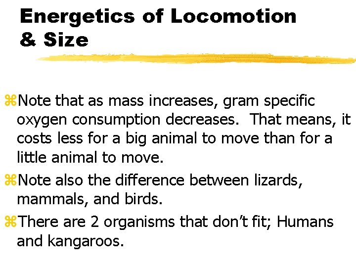 Energetics of Locomotion & Size z. Note that as mass increases, gram specific oxygen