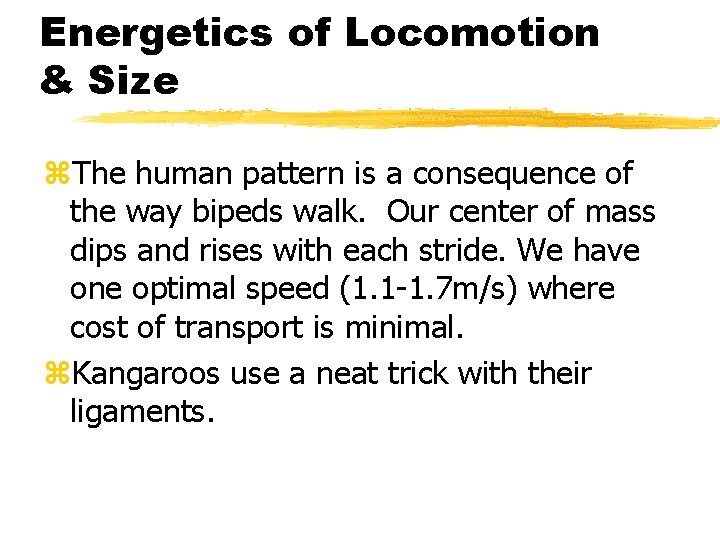 Energetics of Locomotion & Size z. The human pattern is a consequence of the