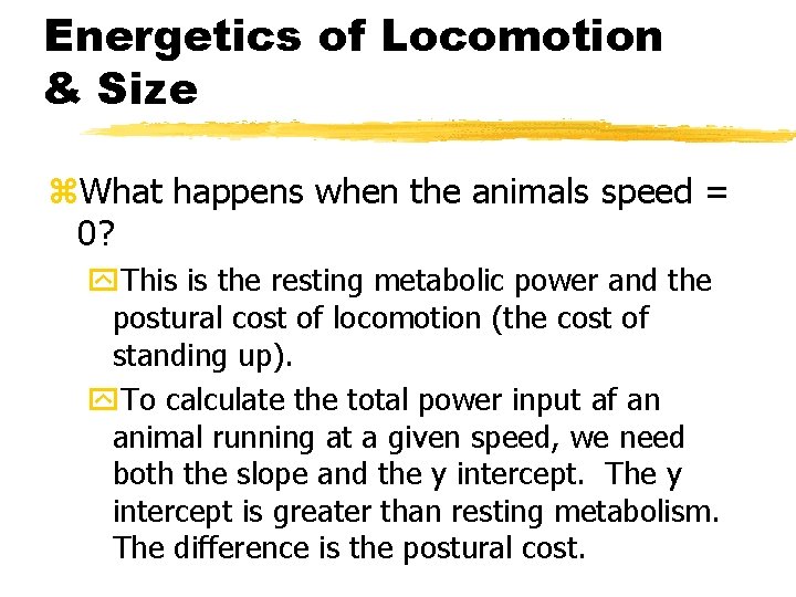 Energetics of Locomotion & Size z. What happens when the animals speed = 0?