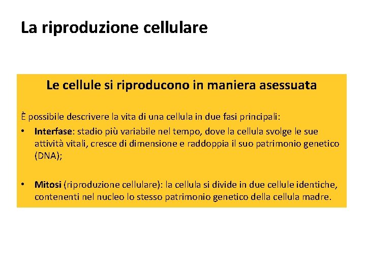 La riproduzione cellulare Le cellule si riproducono in maniera asessuata È possibile descrivere la